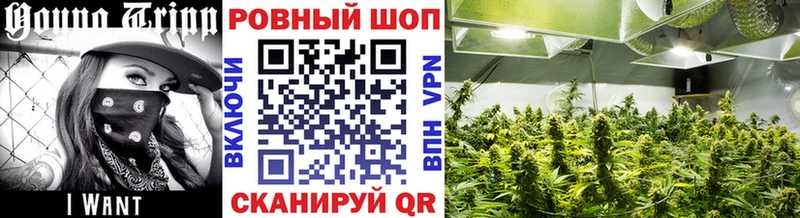 Купить закладку MDMA  МЕФ  A PVP  Амфетамин  ГАШИШ  Конопля  КОКАИН  Борисоглебск