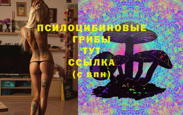 соль ск Волосово