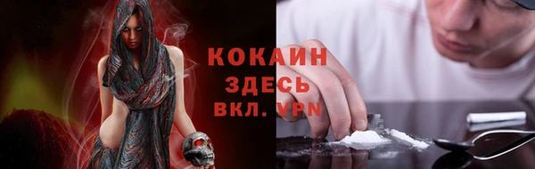соль ск Волосово