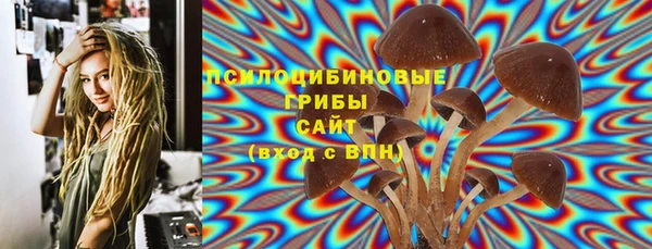 соль ск Волосово
