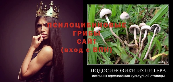 соль ск Волосово