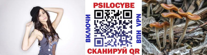 Галлюциногенные грибы Magic Shrooms  Купить где  Борисоглебск 